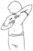 back scratch test .